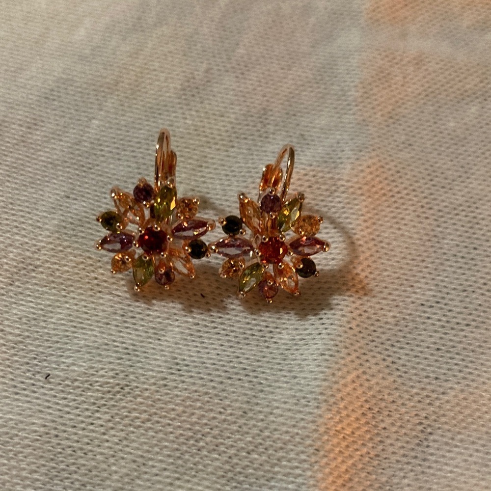 Floral Multicolor Earrings